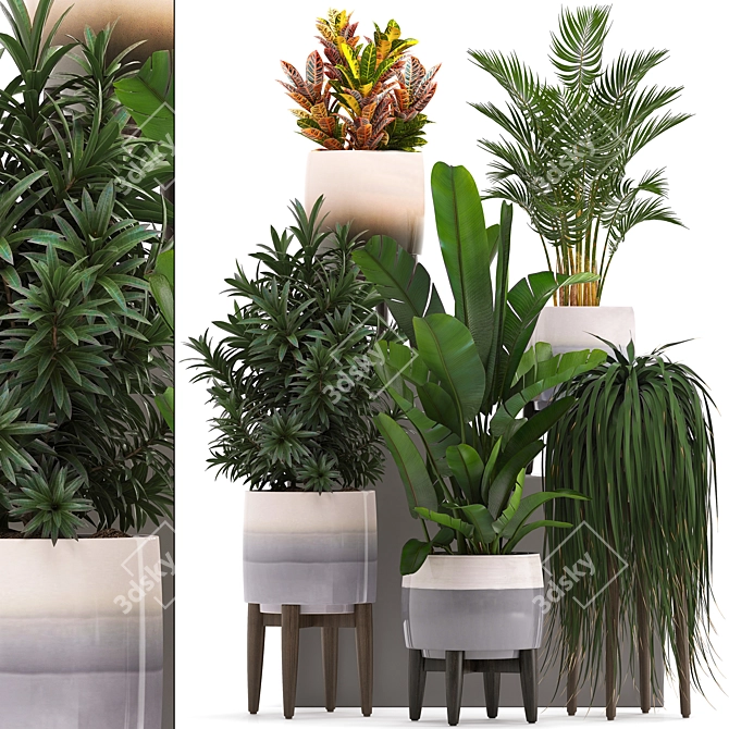 Exotic Plant Collection: Oleander, Howea Forsteriana, Kentia & More! 3D model image 1