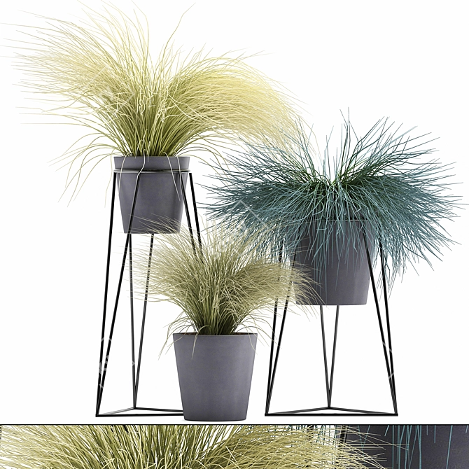 Exotic Tussock Grass Collection 3D model image 1