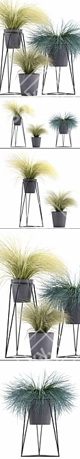 Exotic Tussock Grass Collection 3D model image 2