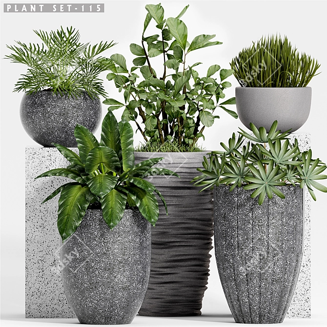 Decorative Plant Set: Enhance Your Space 3D model image 1