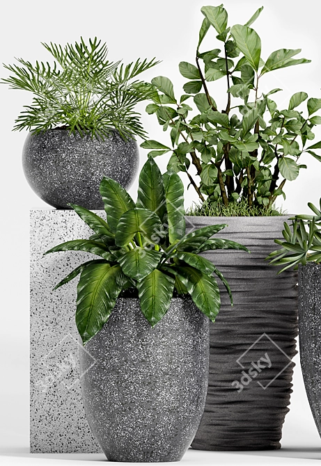 Decorative Plant Set: Enhance Your Space 3D model image 2