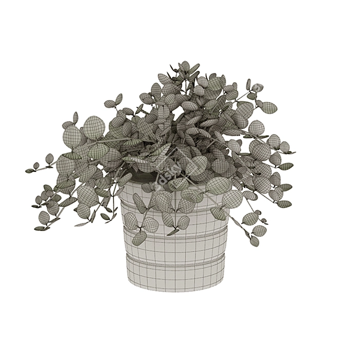 HimalayaMix Houseplant: A Breath of Greenery 3D model image 2