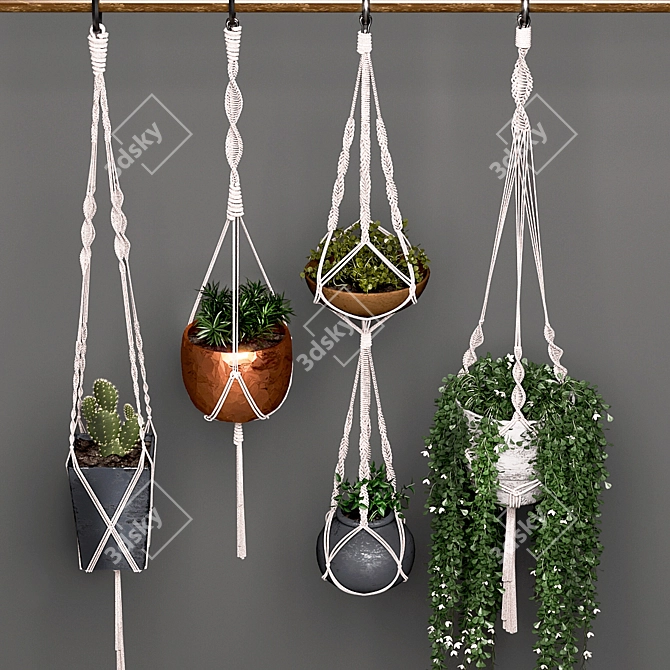 Stylish Hanging Pot Set 3D model image 1