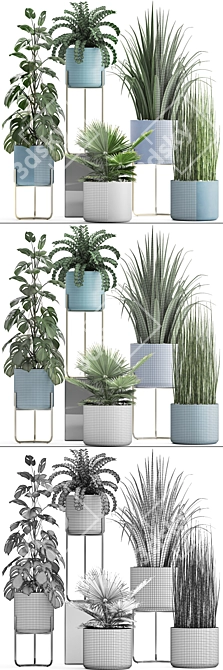 Exotic Plant Collection: Monstera, Fern, Equisetum & More 3D model image 3