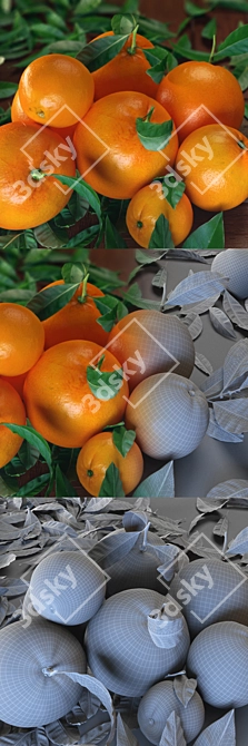 Orange Sensation: A Zesty Delight 3D model image 2