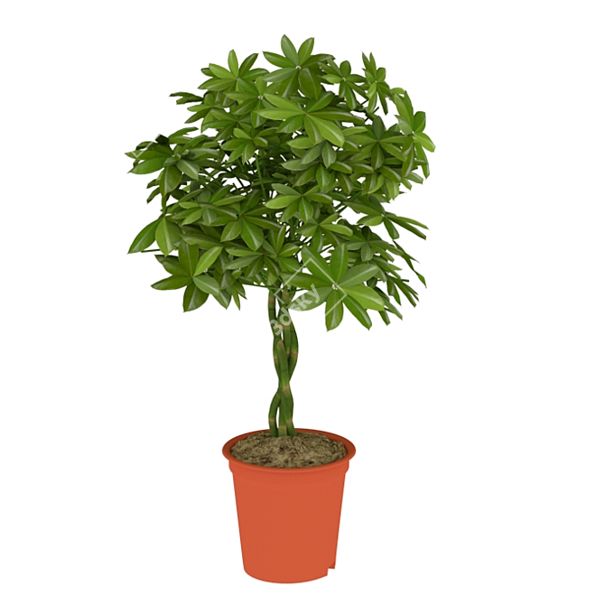 Tropical Greenery: 70cm Schefflera 3D model image 1