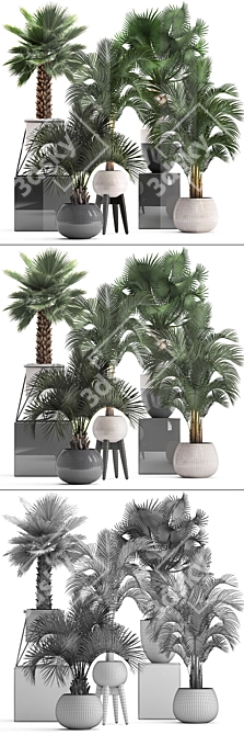 Exotic Palm Collection. Indoor Bliss. 3D model image 3