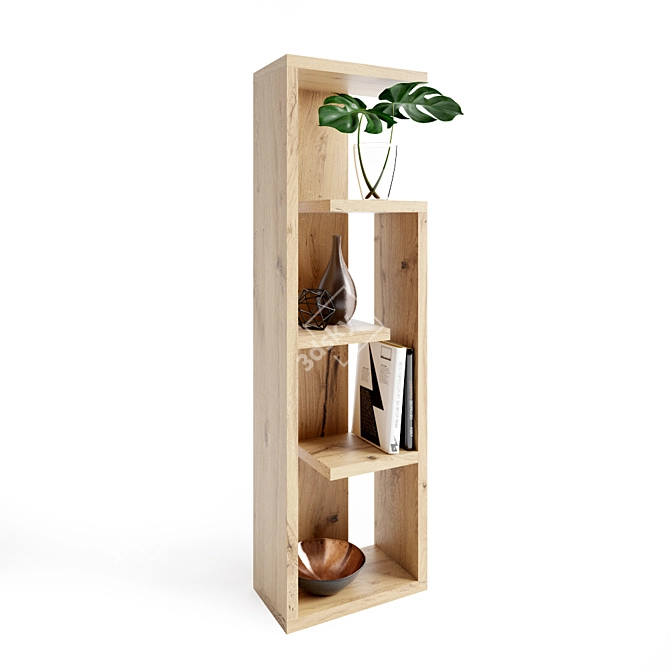 Modern 3D Shelf & Decor 3D model image 1