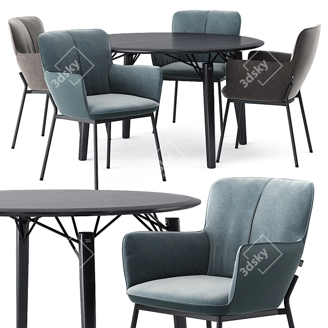 Elegant ROLF BENZ Dining Set 3D model image 4