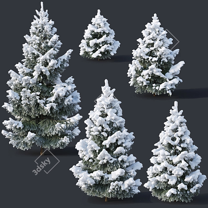  Snowy Fir Trees - 6 Sizes 3D model image 1