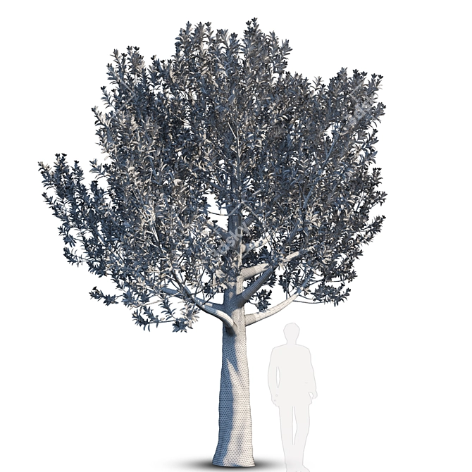 Magnolia Grandiflora Giant 2 3D model image 2