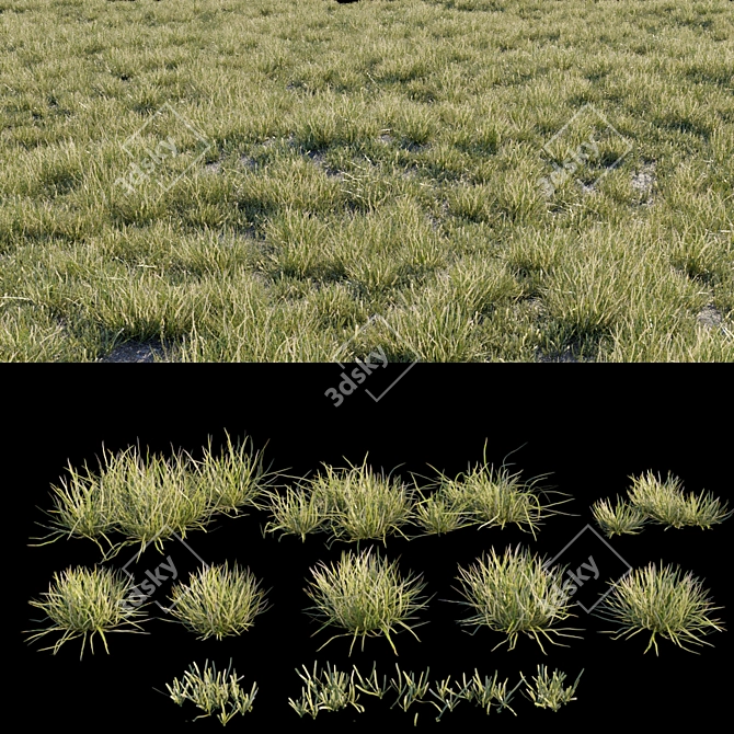 Natural Wild Grass Set 3D model image 3