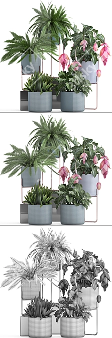 Exotic Indoor Plant Collection 3D model image 3