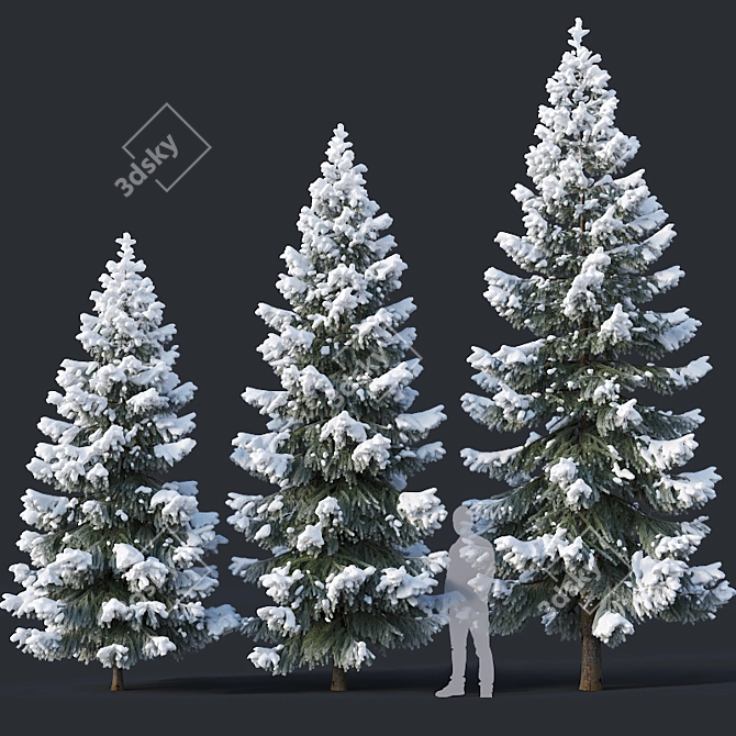 Snow-Covered Fir Tree Collection 3D model image 1