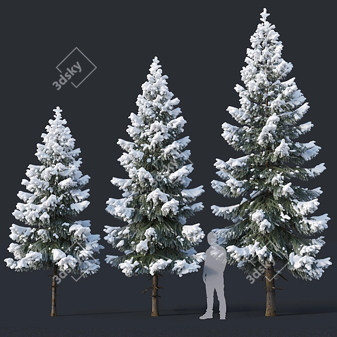 Snow-Covered Fir Tree Collection 3D model image 2