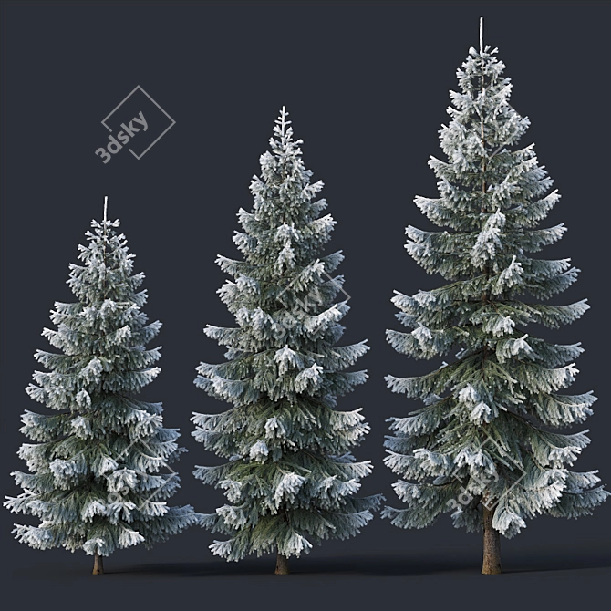 Snow-Covered Fir Tree Collection 3D model image 3