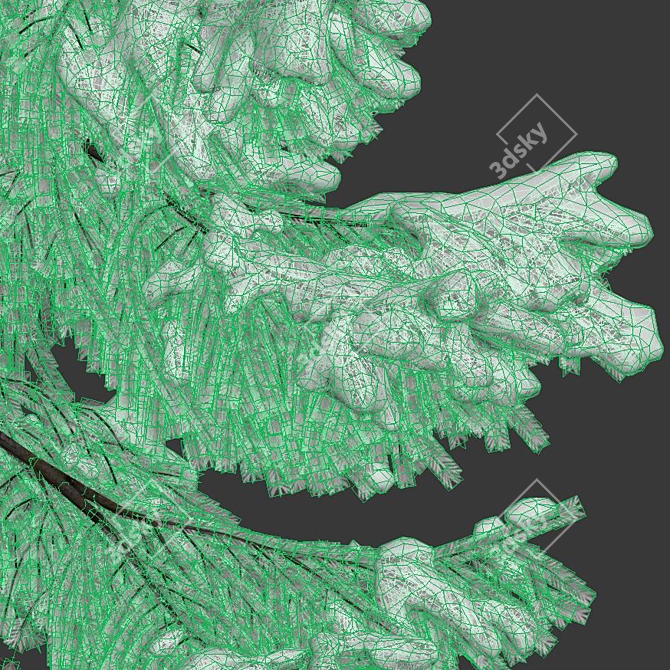 Snow-Covered Fir Tree Collection 3D model image 4