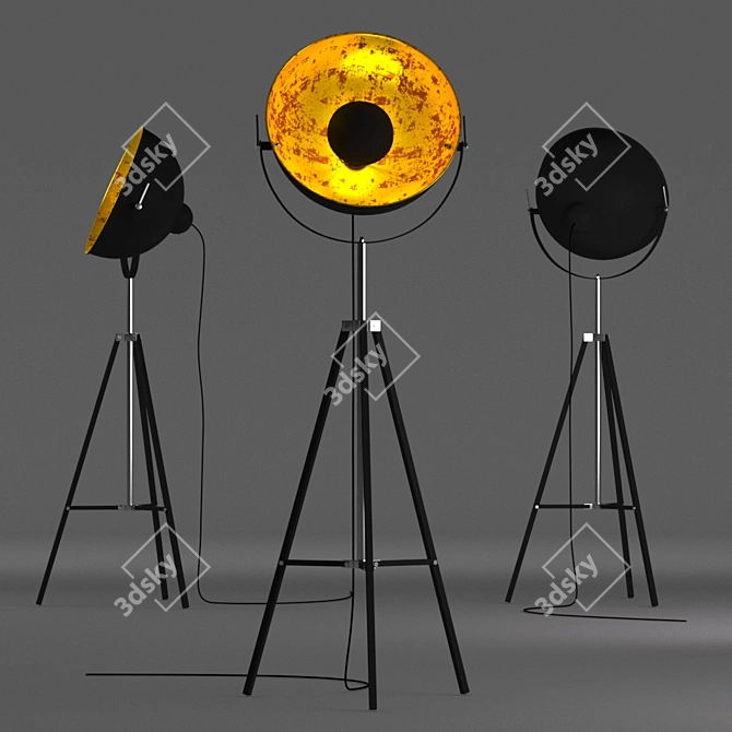 Elegant Zuma Line Floor Lamp 3D model image 2