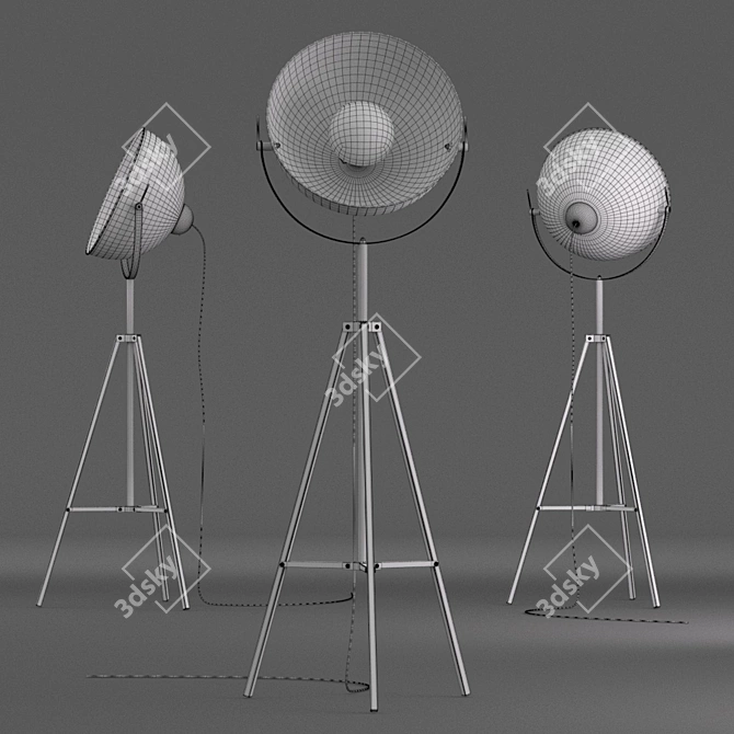 Elegant Zuma Line Floor Lamp 3D model image 3