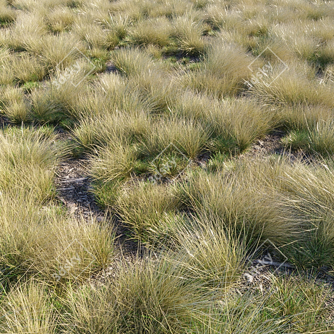 Eskdale Grass: 12 Grass Models 3D model image 1