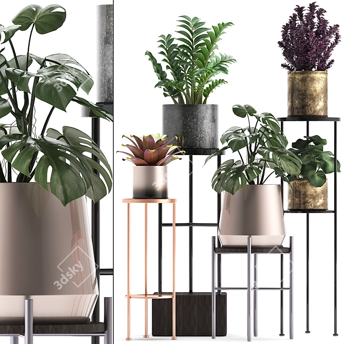 Exotic Plant Collection: Bromeliads, Monstera, Zamioculcas 3D model image 1