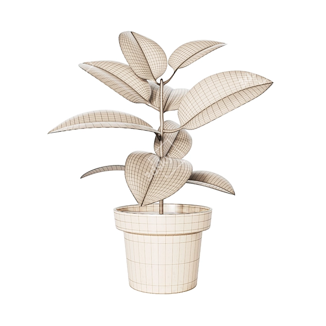 Variegated Ficus: Beautiful Indoor Plant 3D model image 2