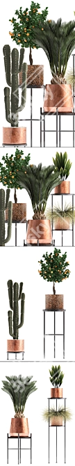 Copper Pot Plant Collection 3D model image 2