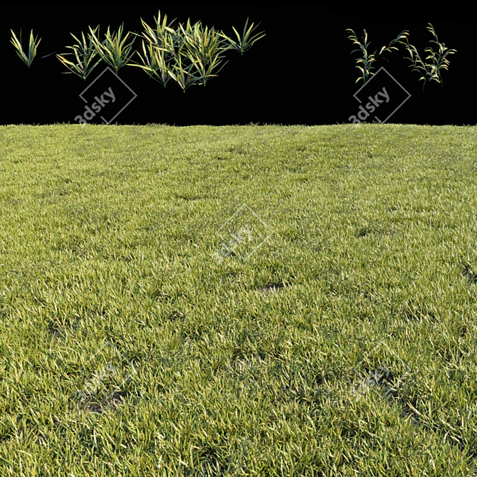 Lush Garden Grass Kit 3D model image 2