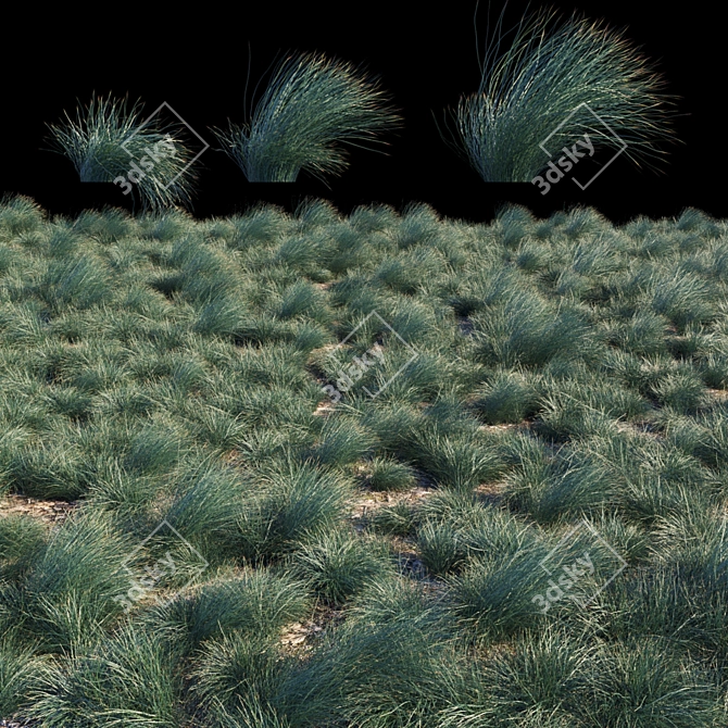 Seascape Grass Kit: Stunning, Low-Maintenance Beauty 3D model image 2