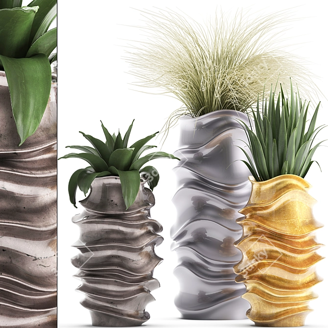 Exotic Indoor Plant Collection 3D model image 1