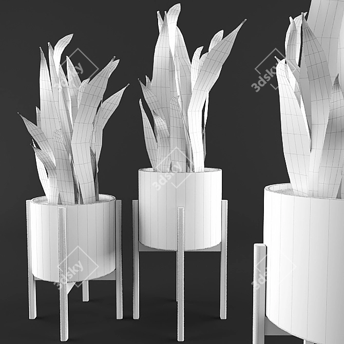 3D Sansevieria Plant with Stand 3D model image 2