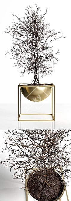 Elegant Branching Tree Sculpture 3D model image 2