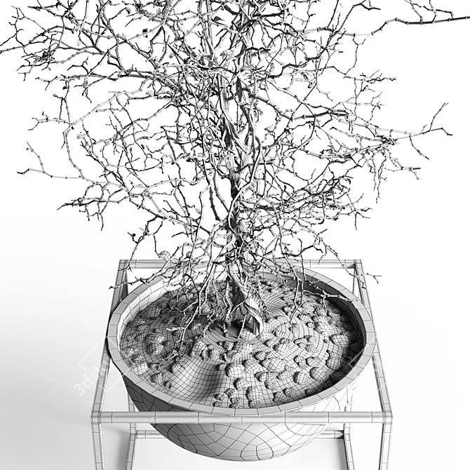 Elegant Branching Tree Sculpture 3D model image 3