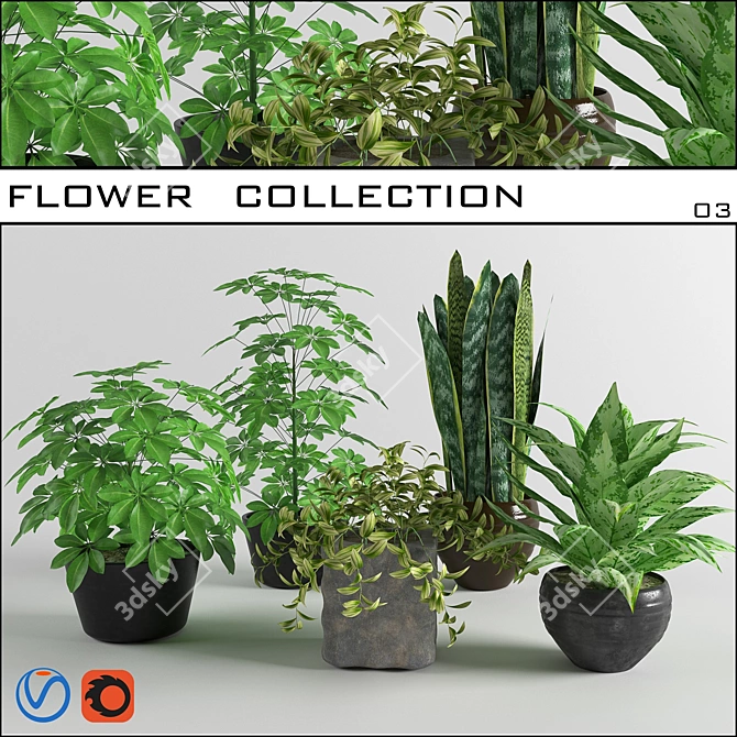 3D Flower Collection: Vray & Corona 3D model image 1