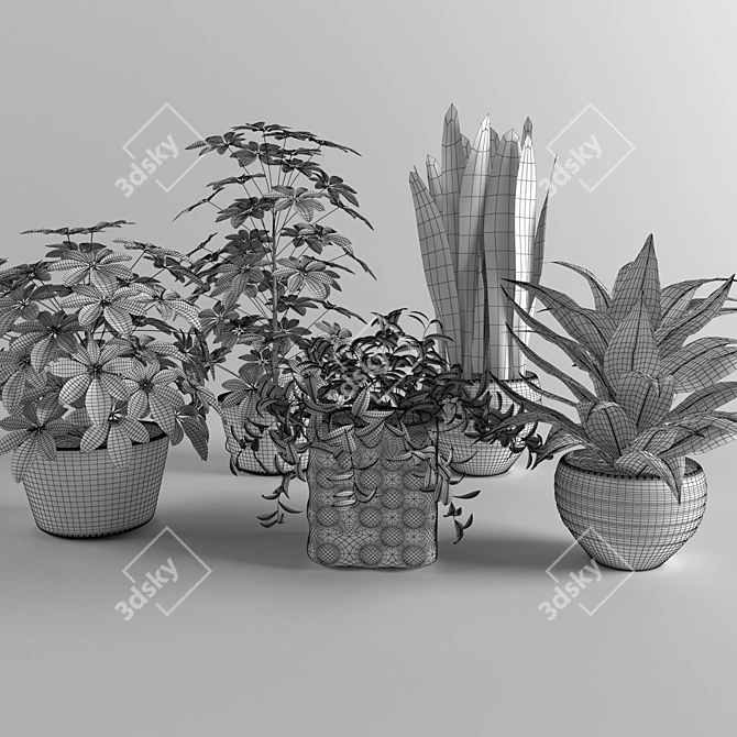 3D Flower Collection: Vray & Corona 3D model image 3