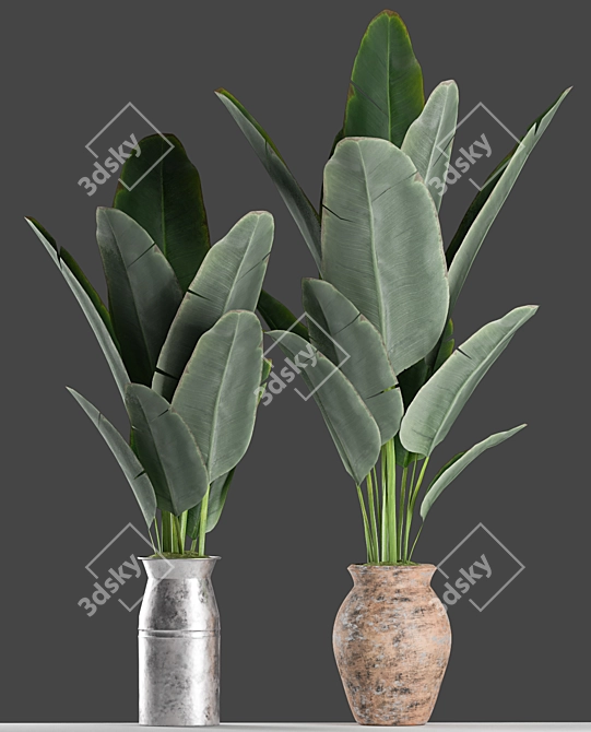 Tropical Bliss: Banana Palm Planter Set 3D model image 2