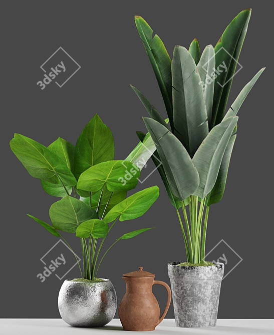 Tropical Banana Palm Plant with Vintage Pot 3D model image 2