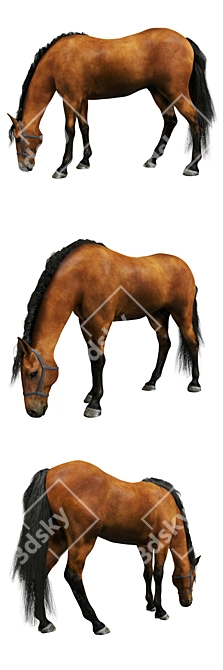 PBR Horse Model 3D model image 2