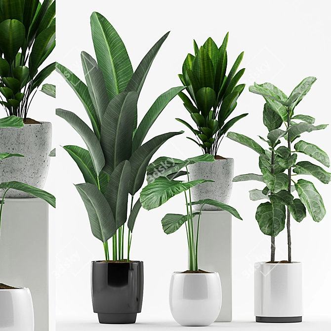 Colorful Plant Collection - 127 Varieties 3D model image 1
