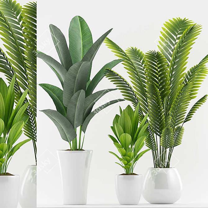 Tropical Plant Trio with Pot 3D model image 1