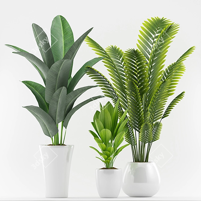 Tropical Plant Trio with Pot 3D model image 2
