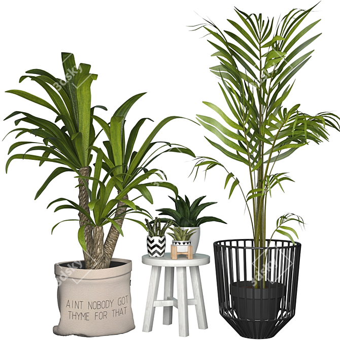 Elegant Collection of Indoor Plants 3D model image 1