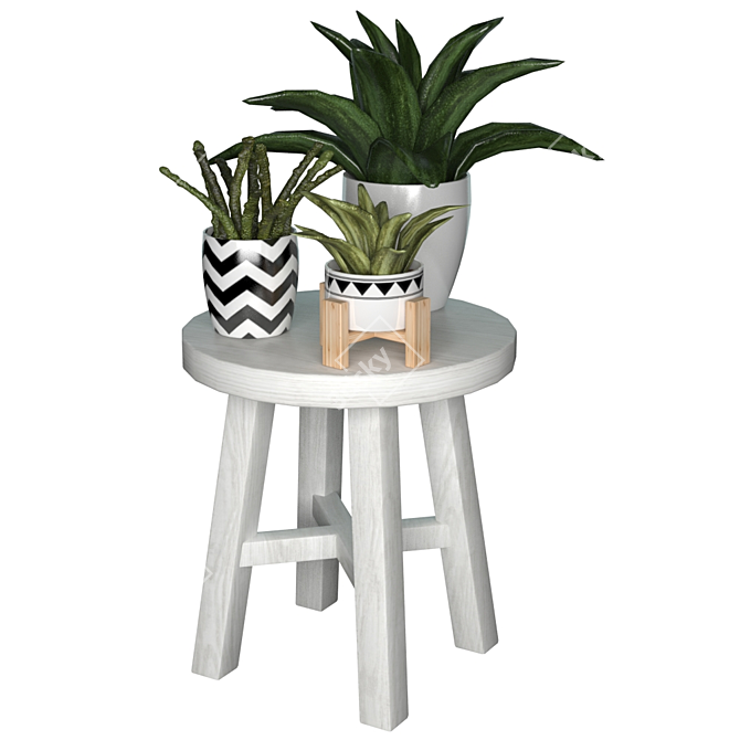 Elegant Collection of Indoor Plants 3D model image 2