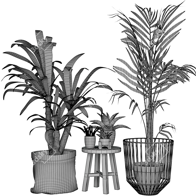 Elegant Collection of Indoor Plants 3D model image 3