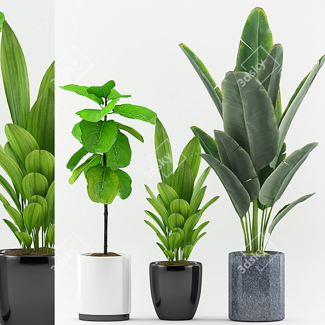 Tropical Palm Plant in Pot 3D model image 1