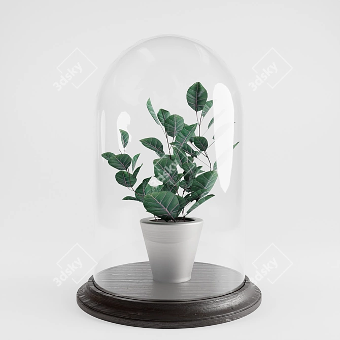 Botanical Bell Jar 3D model image 1