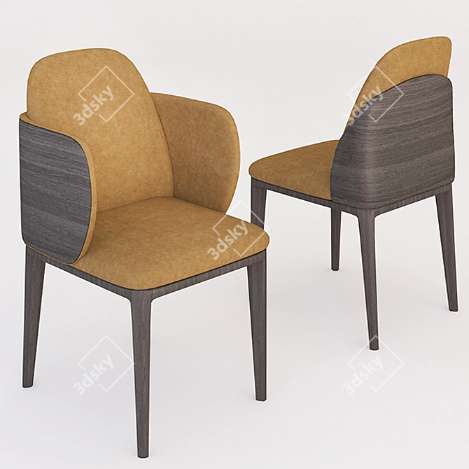 Sleek Manda Wood Busnelli Chair 3D model image 2