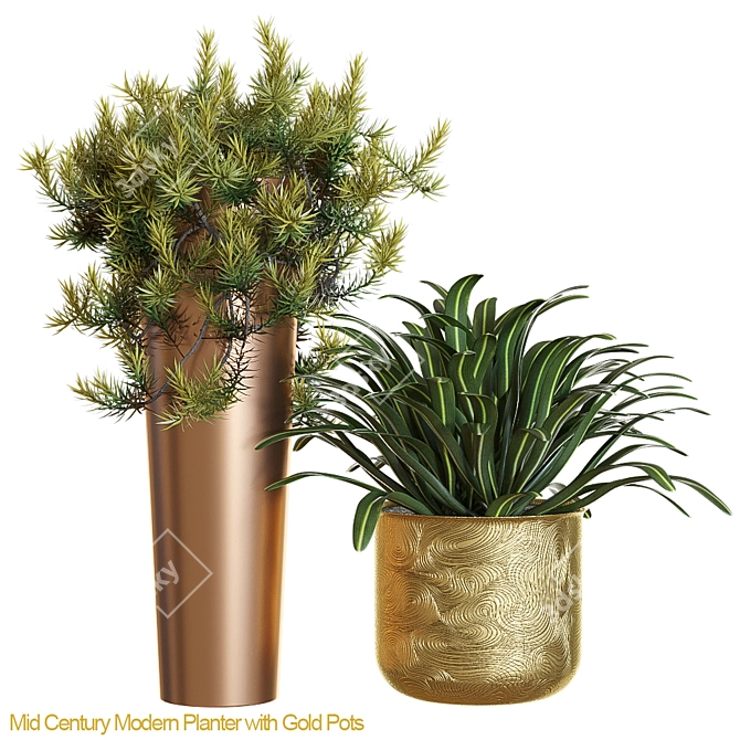 Gold-Toned Mid Century Modern Planter 3D model image 1