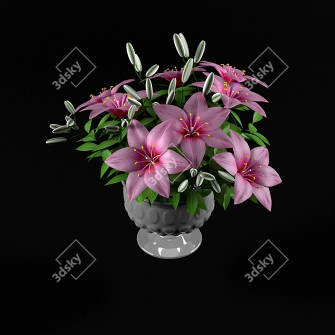 Elegant Pink Lilium Blossom 3D model image 2
