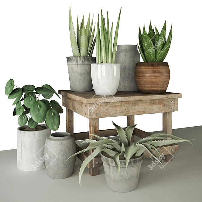 Variety of Plants with Unique Pots 3D model image 1